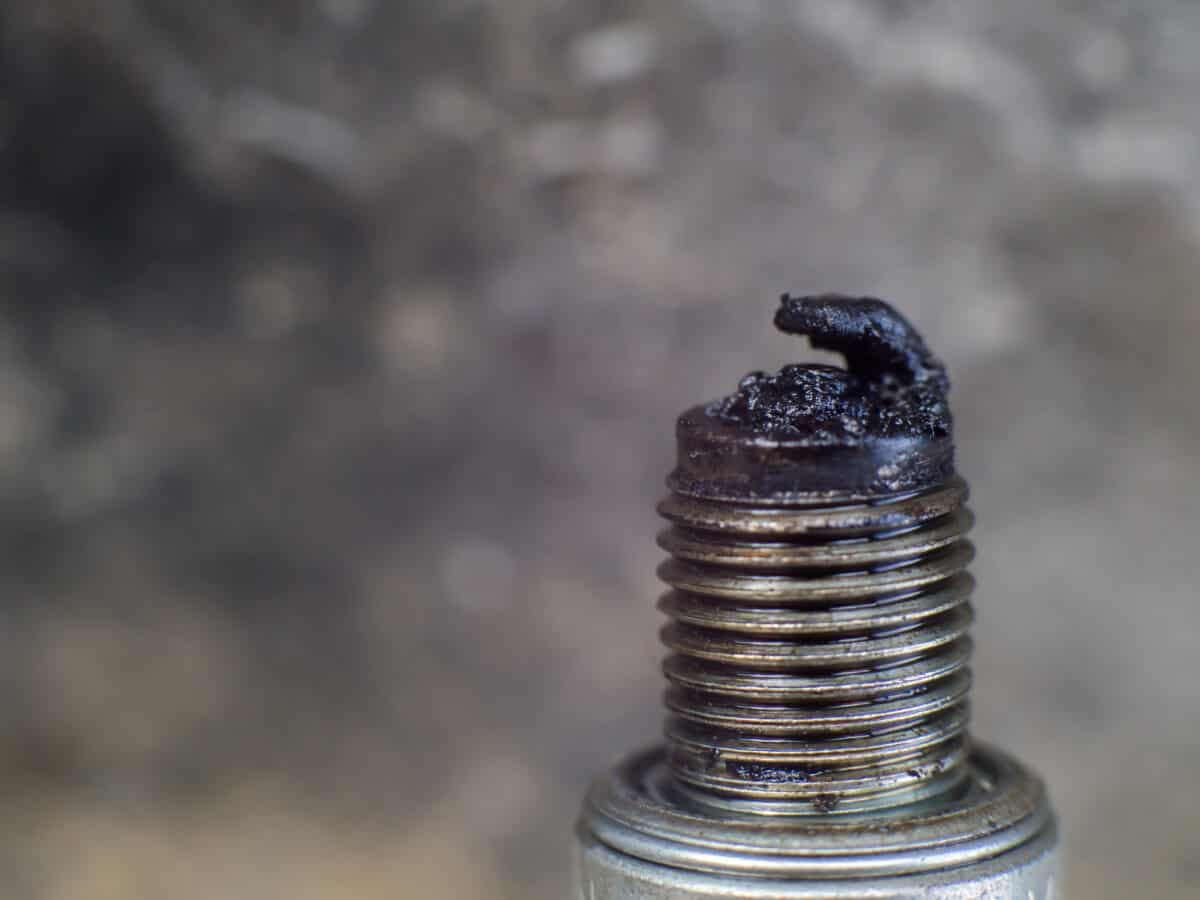 Close up of a very oily spark plug