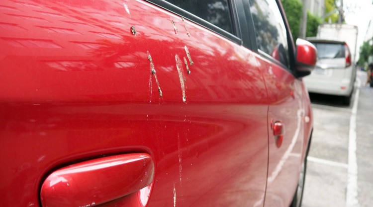 Close up on a red car