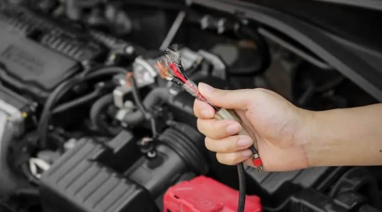 Car Wires From Mouse Chewing