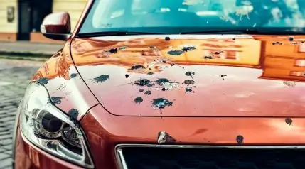 Car with Bird Poop on Hood