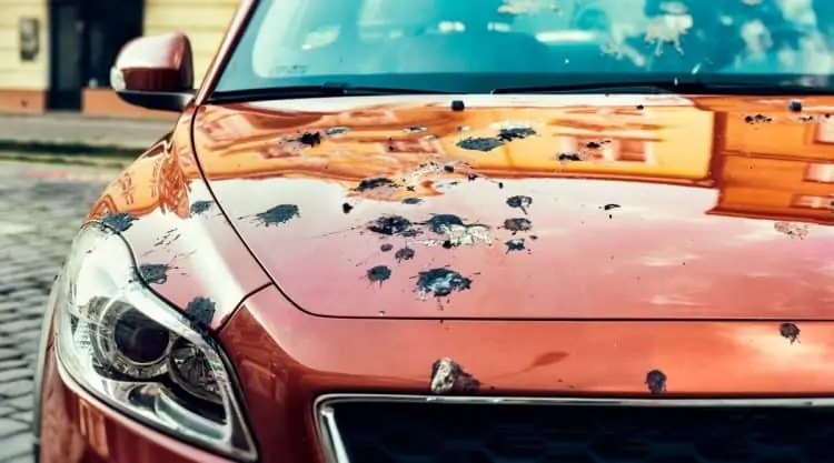 Car with Bird Poop on Hood