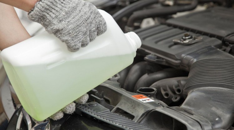 Man with gloves on and an open hood changing coolant for his car engine
