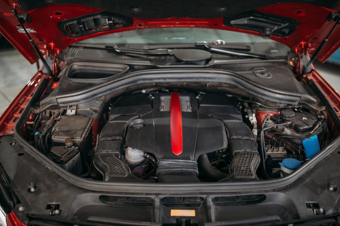 How to Keep Mice out of Cars: A Step by Step Guide & Prevention Tips
