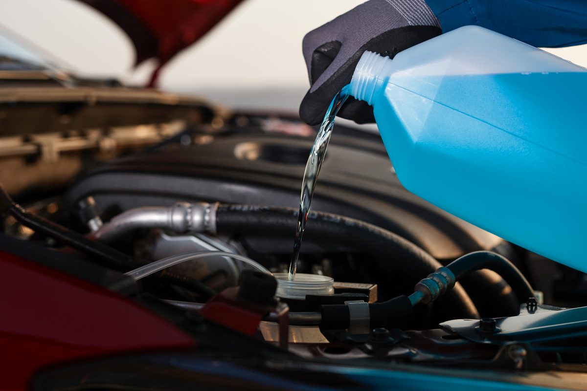 Car owner wearing protective gloves while pouring antifreeze into his car's engine