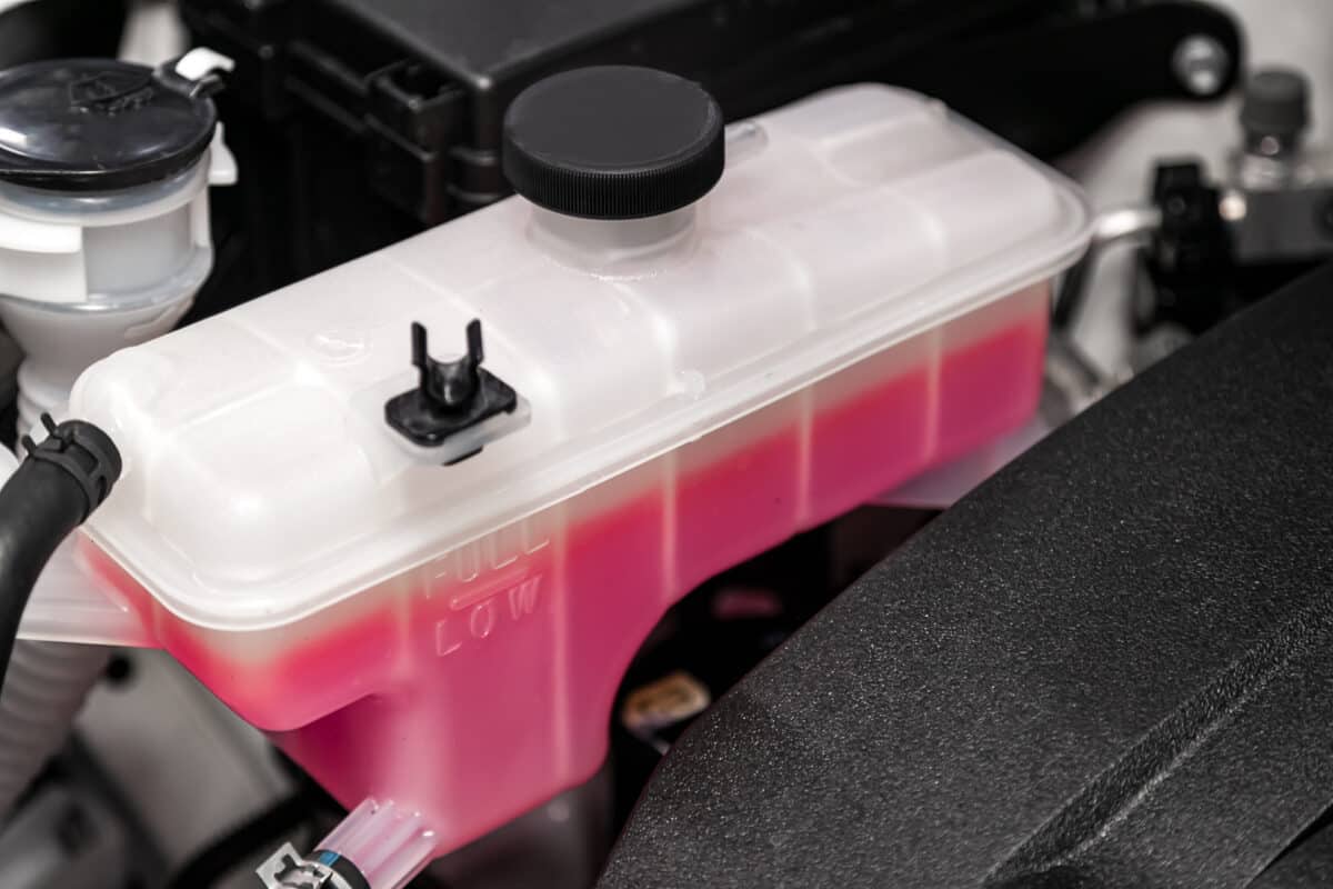 car antifreeze reservoir, half full with pink liquid