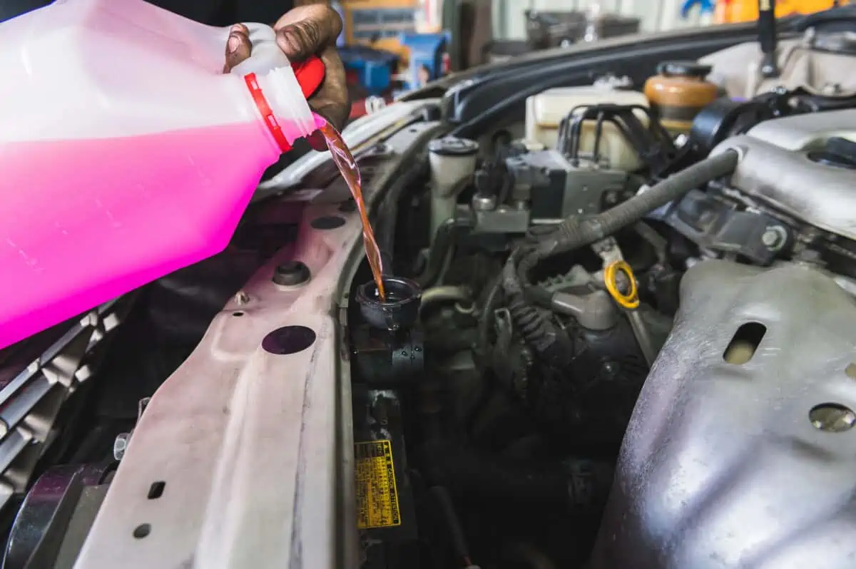 Pink antifreeze being poured into a car engine