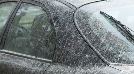 Very dirty black car in desperate need for cleaning