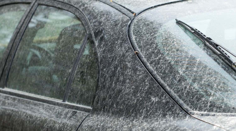 Very dirty black car in desperate need for cleaning