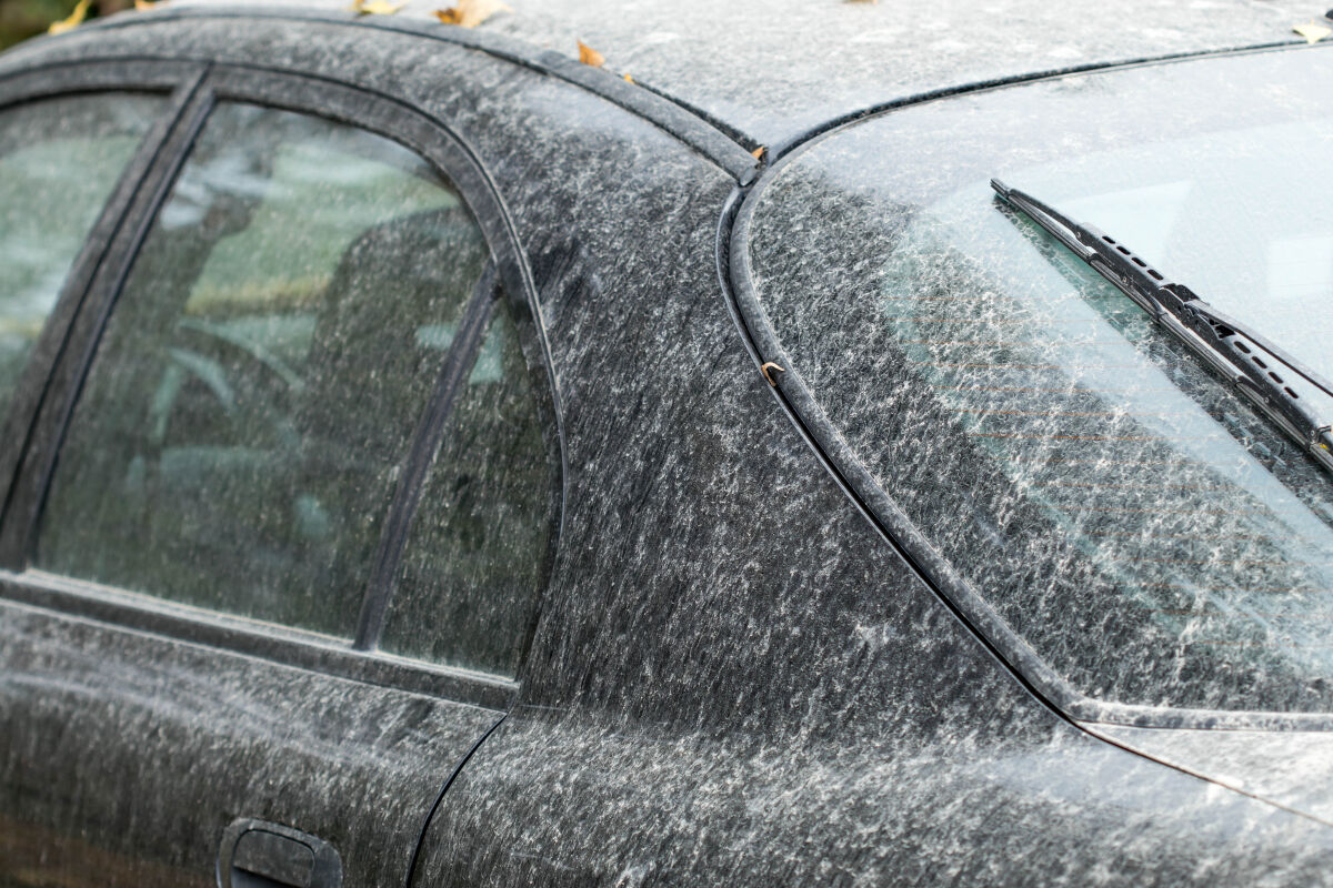 acid rain damage on cars