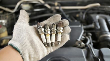 Sparkplugs in Persons Hand