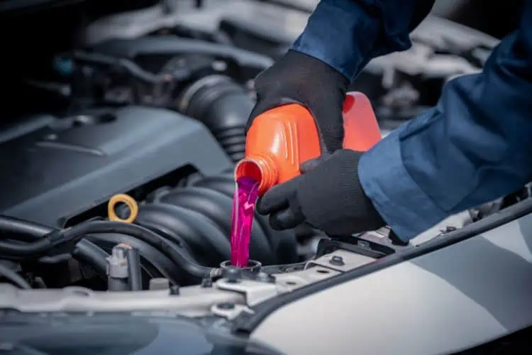 Man pouring coolant into car